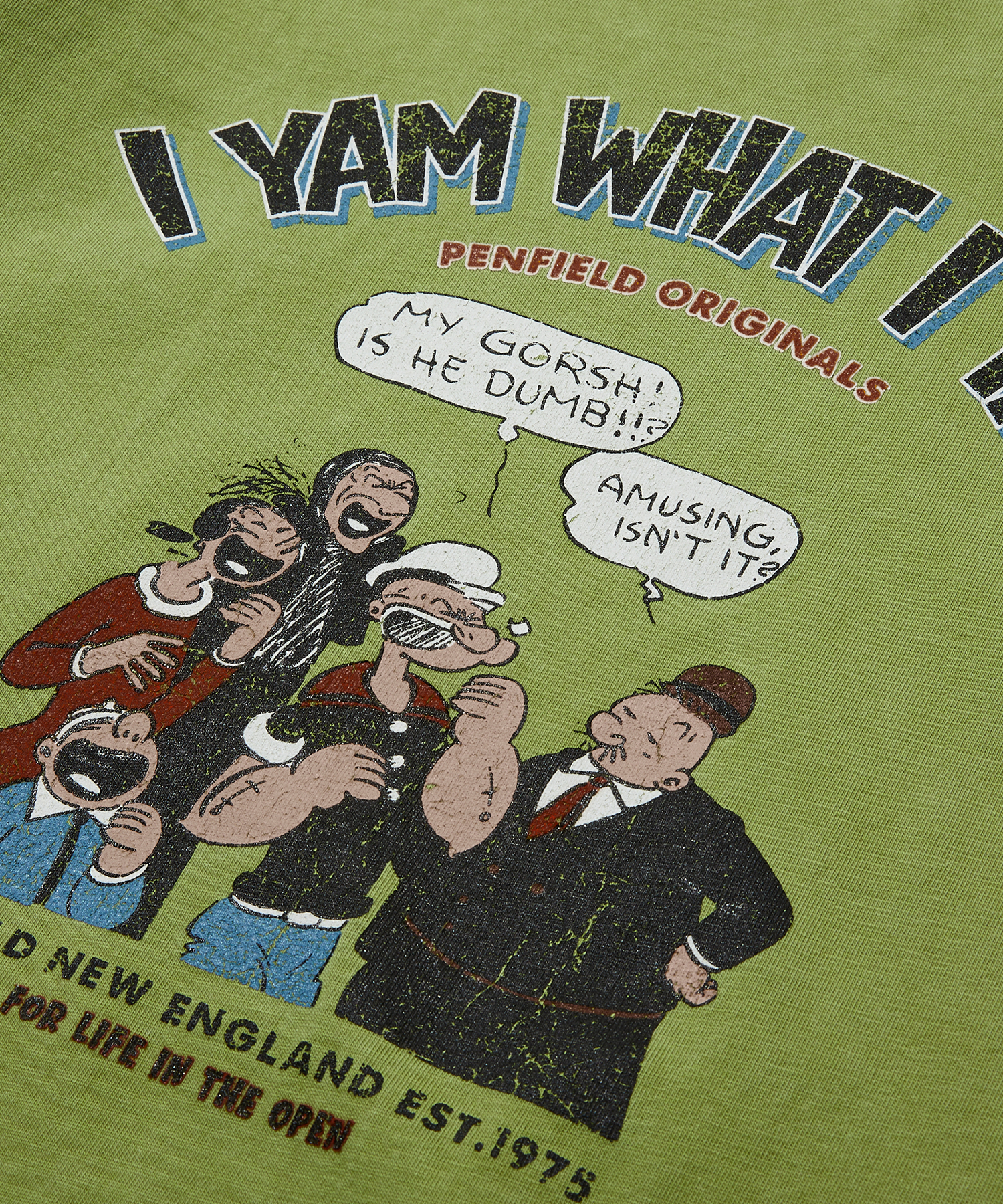 Винтажная футболка I YAM WHAT I YAM Light Green_FS2KT51U