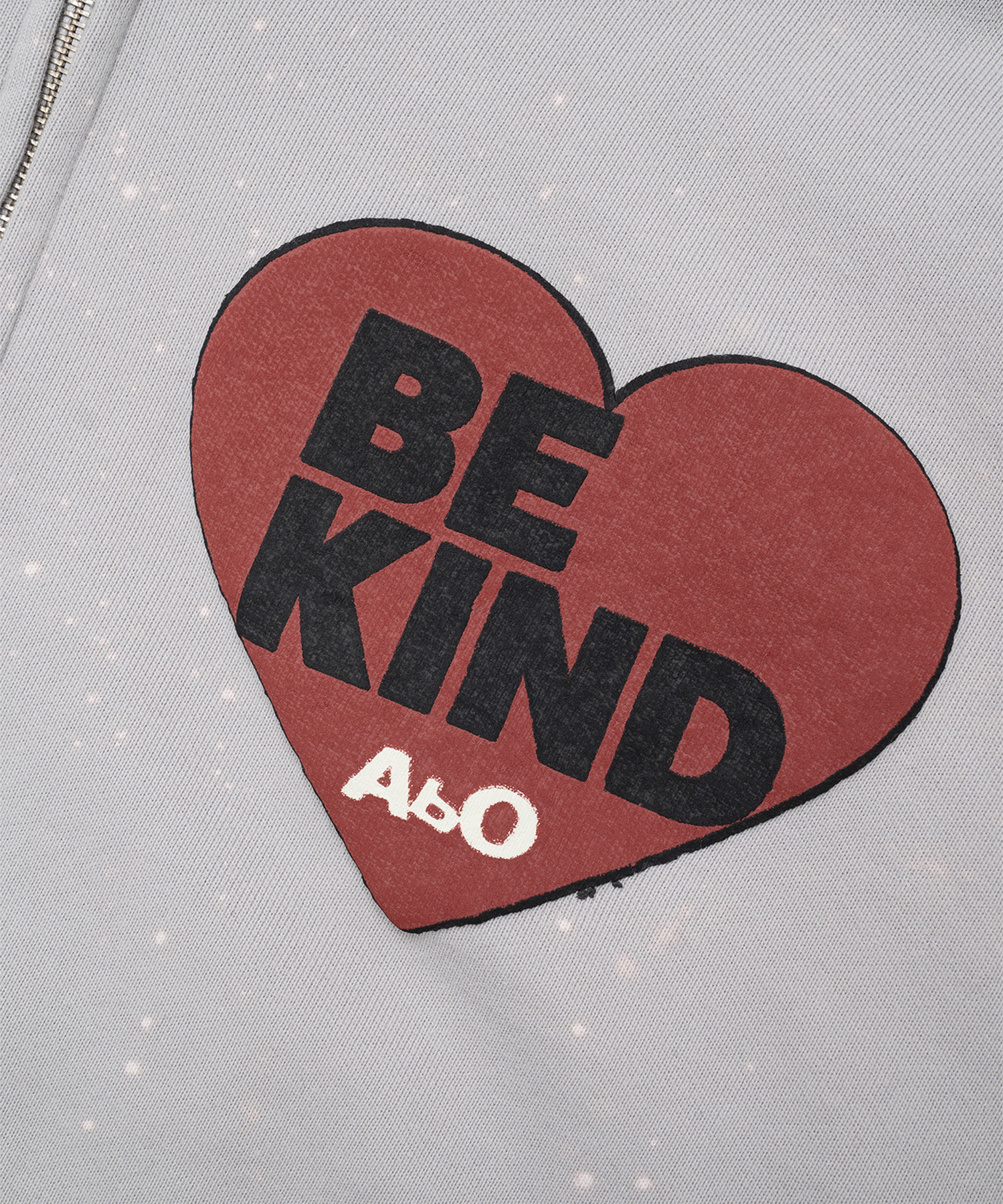 Kind Zip Hoodie Rearl