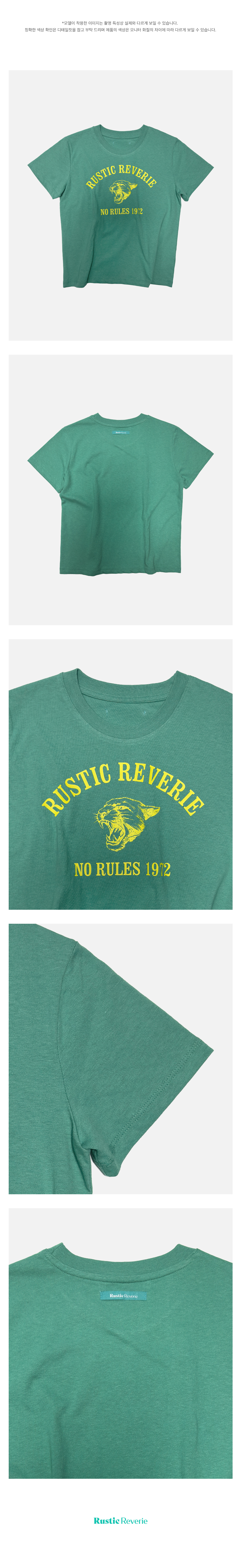 ROARING CAT BABY TEE - 3 COLORS GREEN