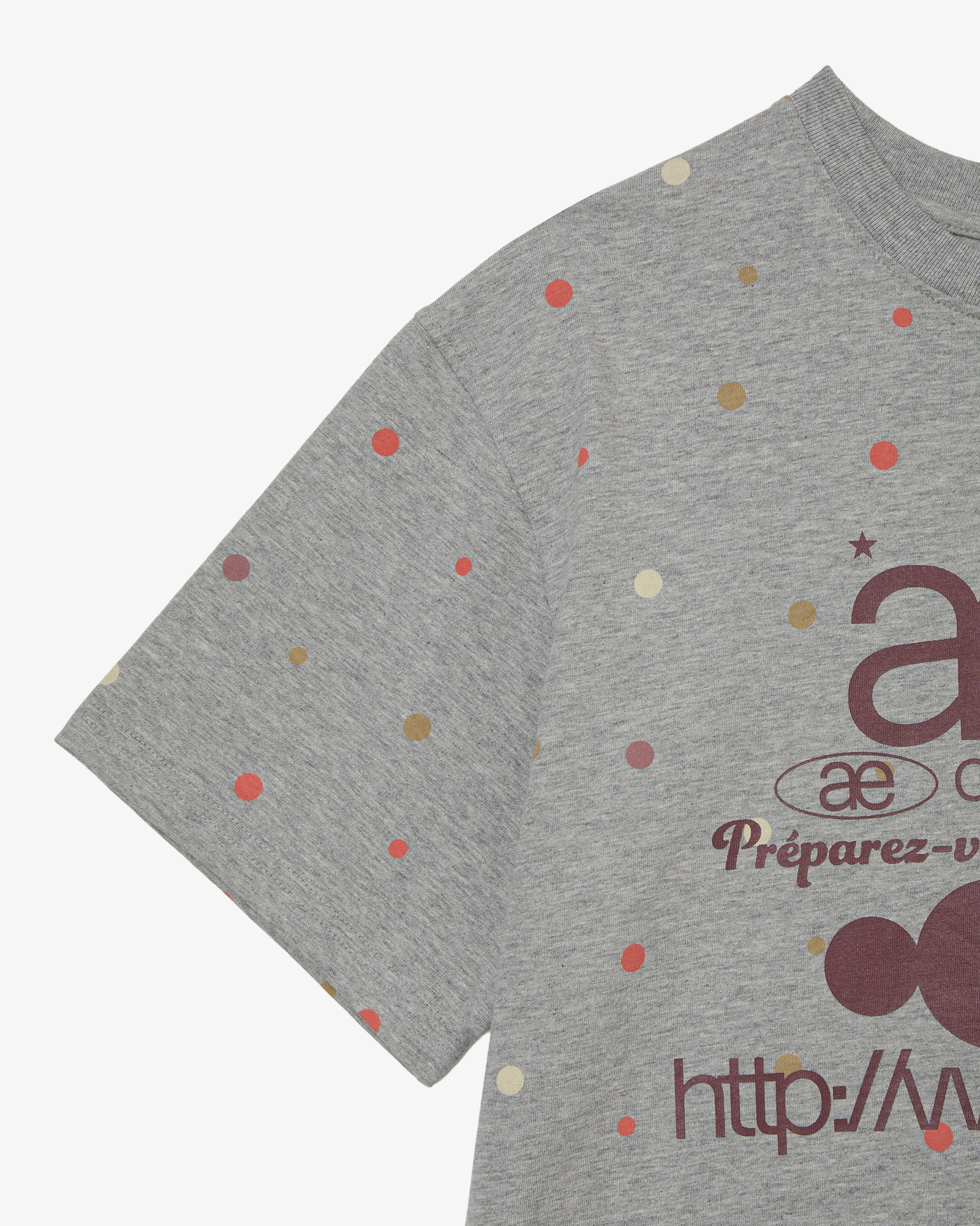Лого LOGO COLOR В Горошек T-SHIRTS [MELANGE Серый]