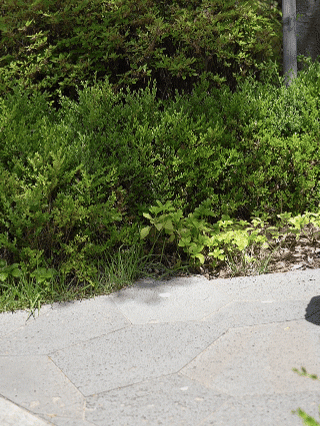 캐리어 바퀴 주행성