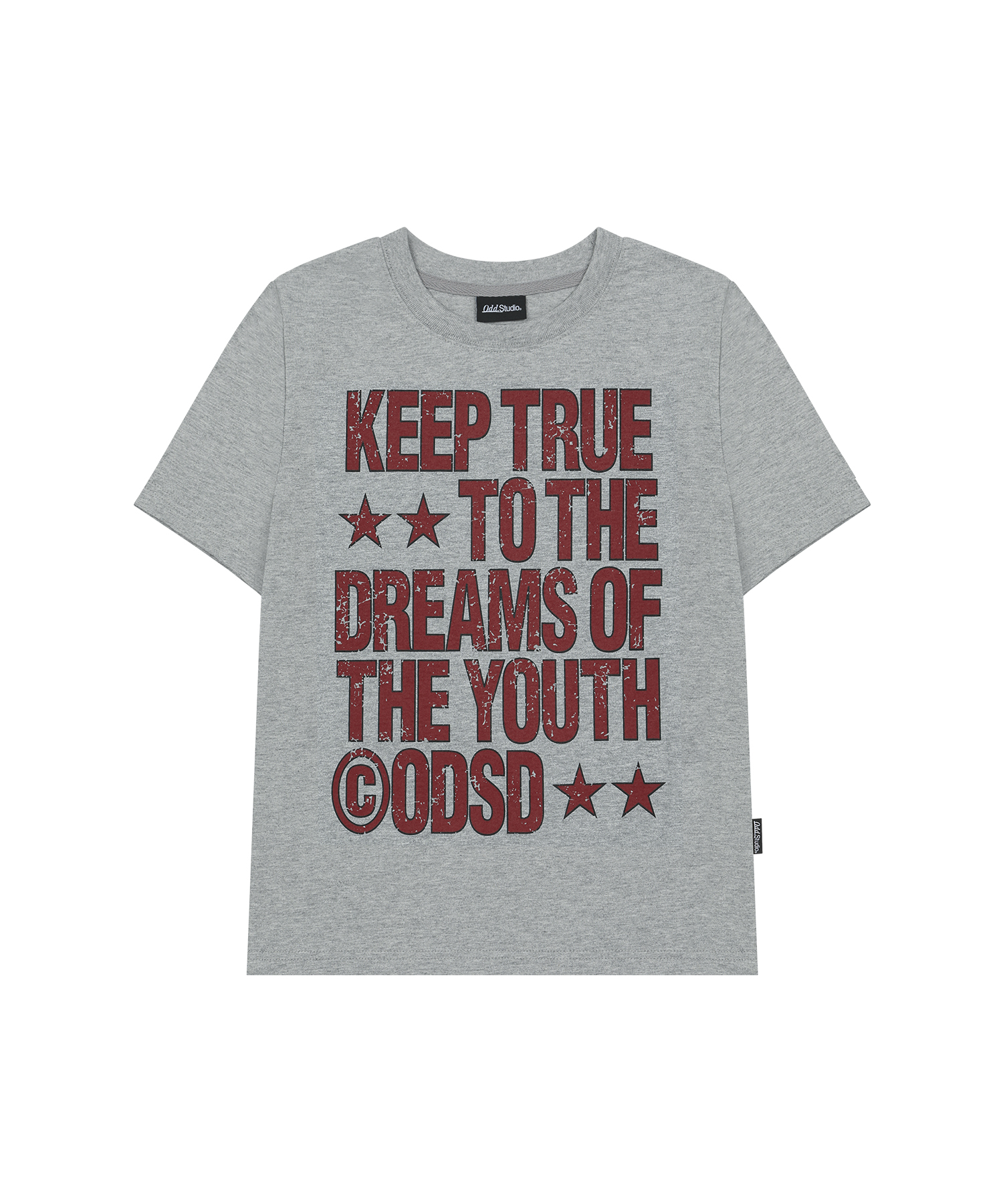 Keep True Typographic Regular Fit T-shirt - MELANGE GARY