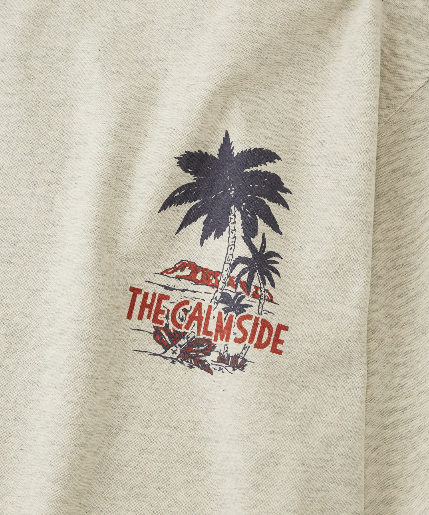 Футболка V.S.C TEE(THE CALM SIDE) 1% Oatmeal