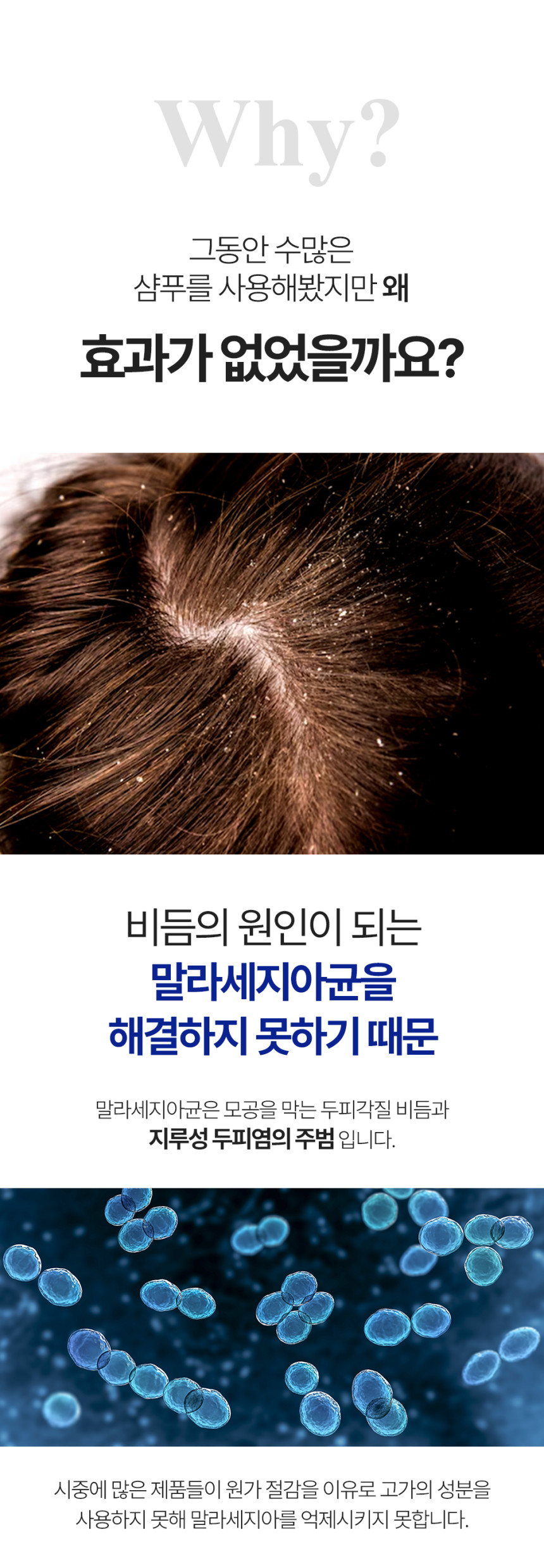 content-img-02