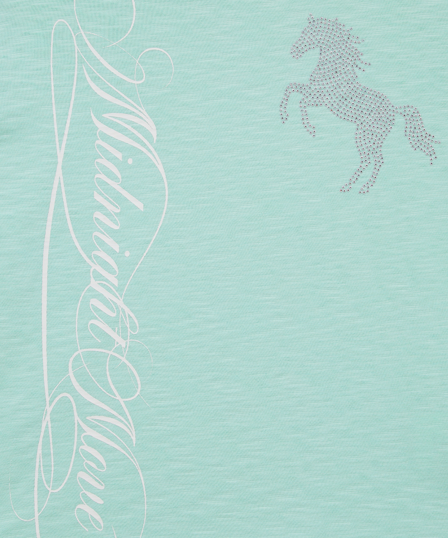 cb horse t (mint)