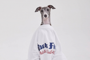 패션 | 세계 강아지의 날을 기념한 이벳필드