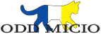 오드미치오(oddmicio)
