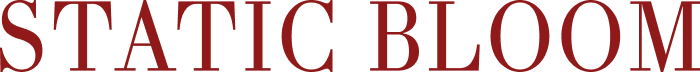 스태틱 블룸
