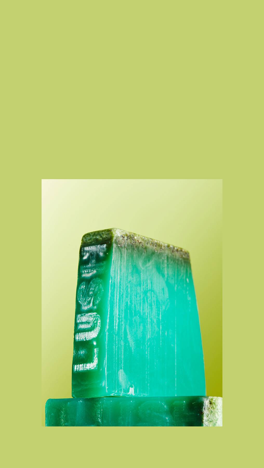 조화로운 공존을 꿈꾸는 브랜드, 러쉬