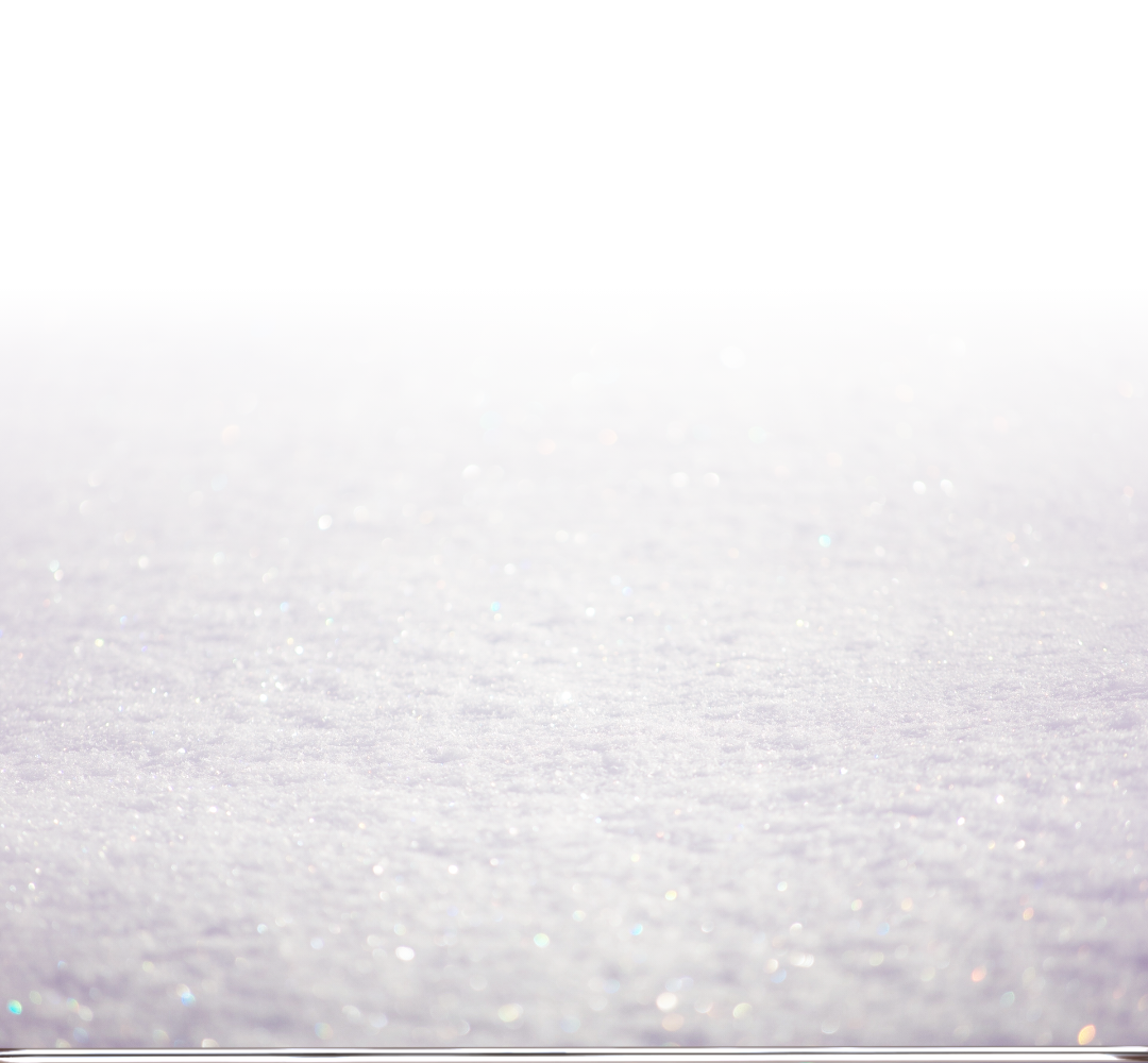 락피쉬웨더웨어가 선사하는 반짝이는 겨울