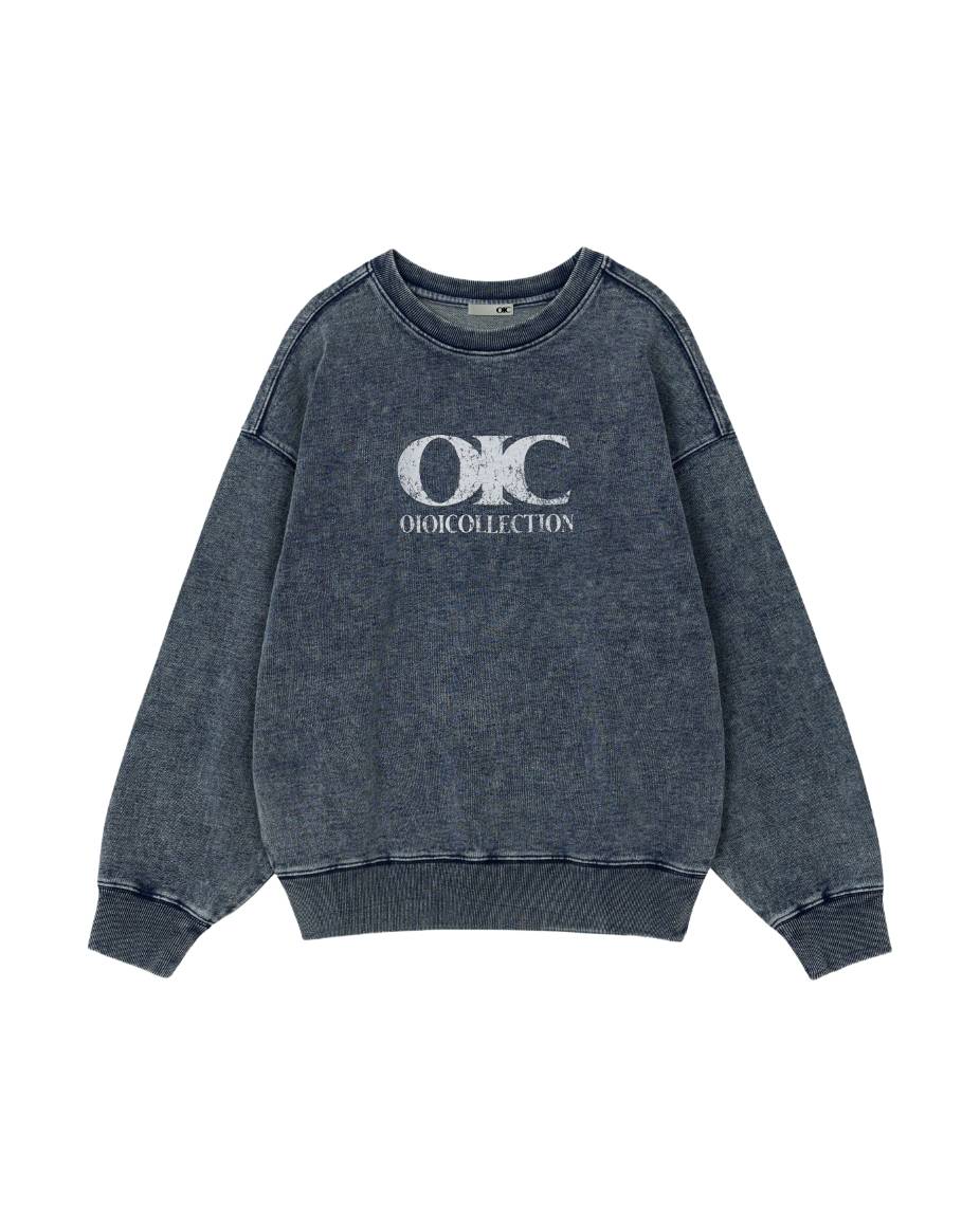 OIC 리뉴얼 프레젠테이션 with 이솜