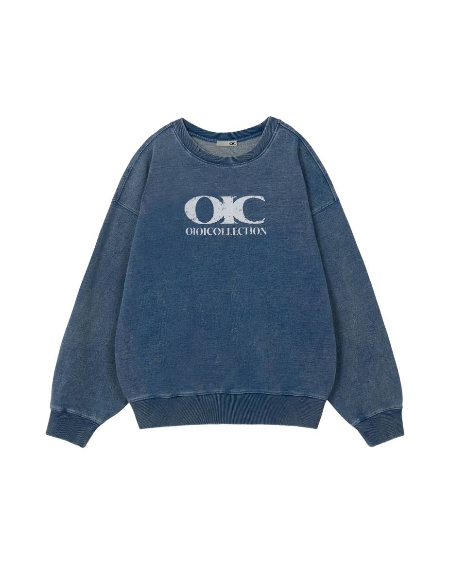 OIC 리뉴얼 프레젠테이션 with 이솜