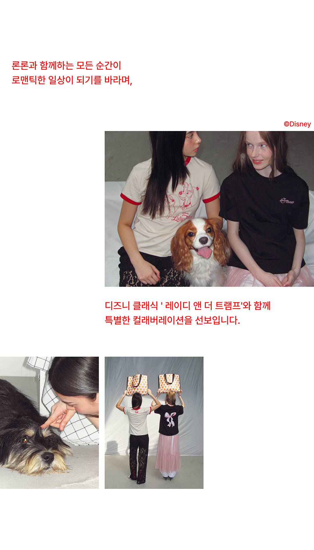디즈니 러버를 위한 러블리 컬래버레이션