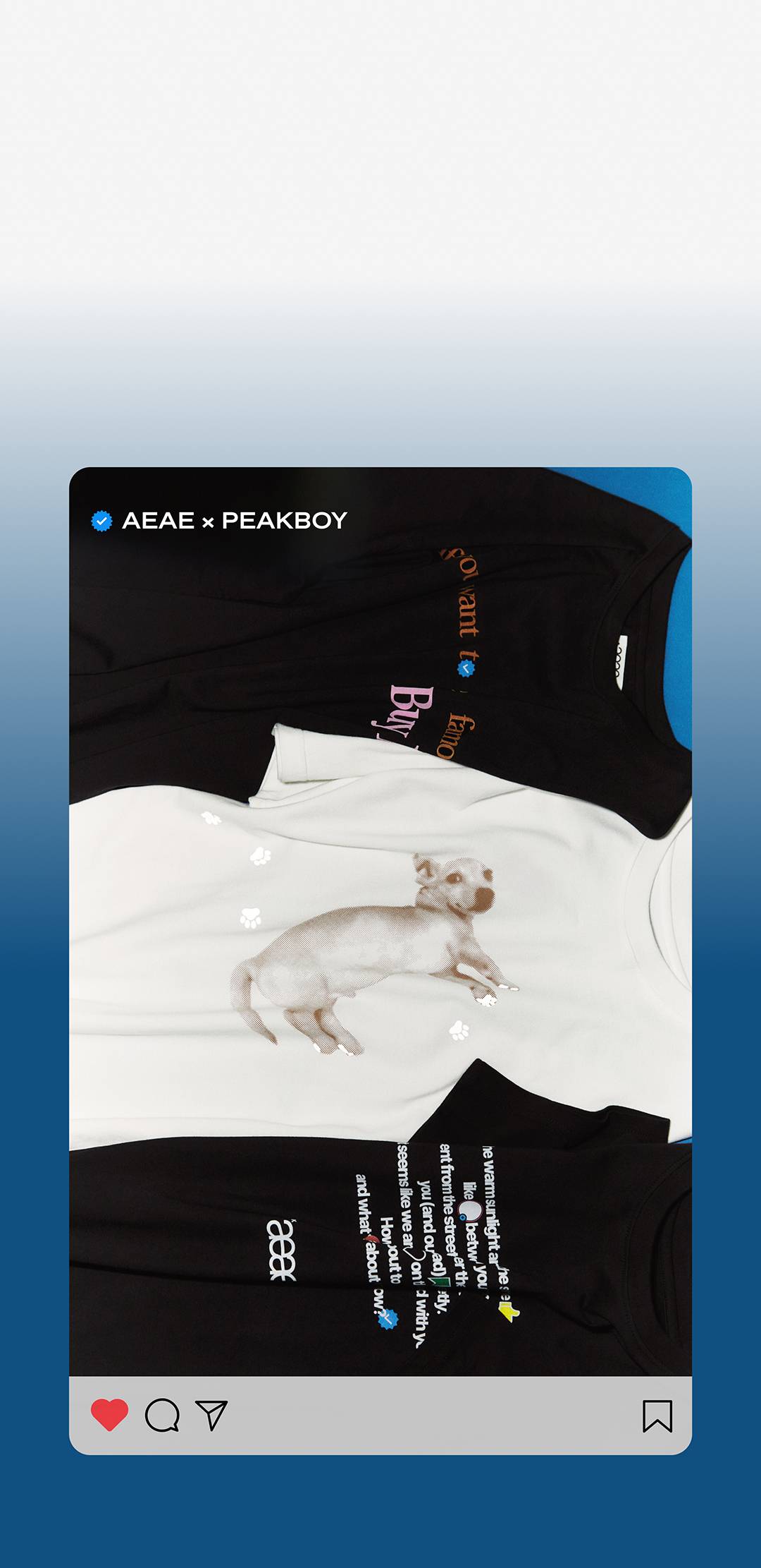 운명 같은 만남, 에이이에이이 × 픽보이 운명 같은 만남, 에이이에이이 × 픽보이