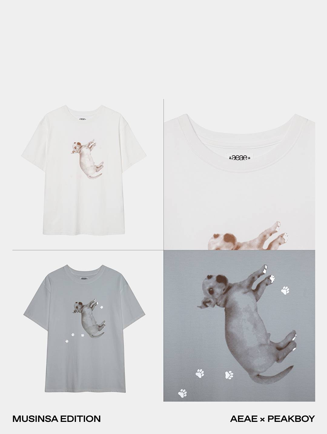 운명 같은 만남, 에이이에이이 × 픽보이 운명 같은 만남, 에이이에이이 × 픽보이