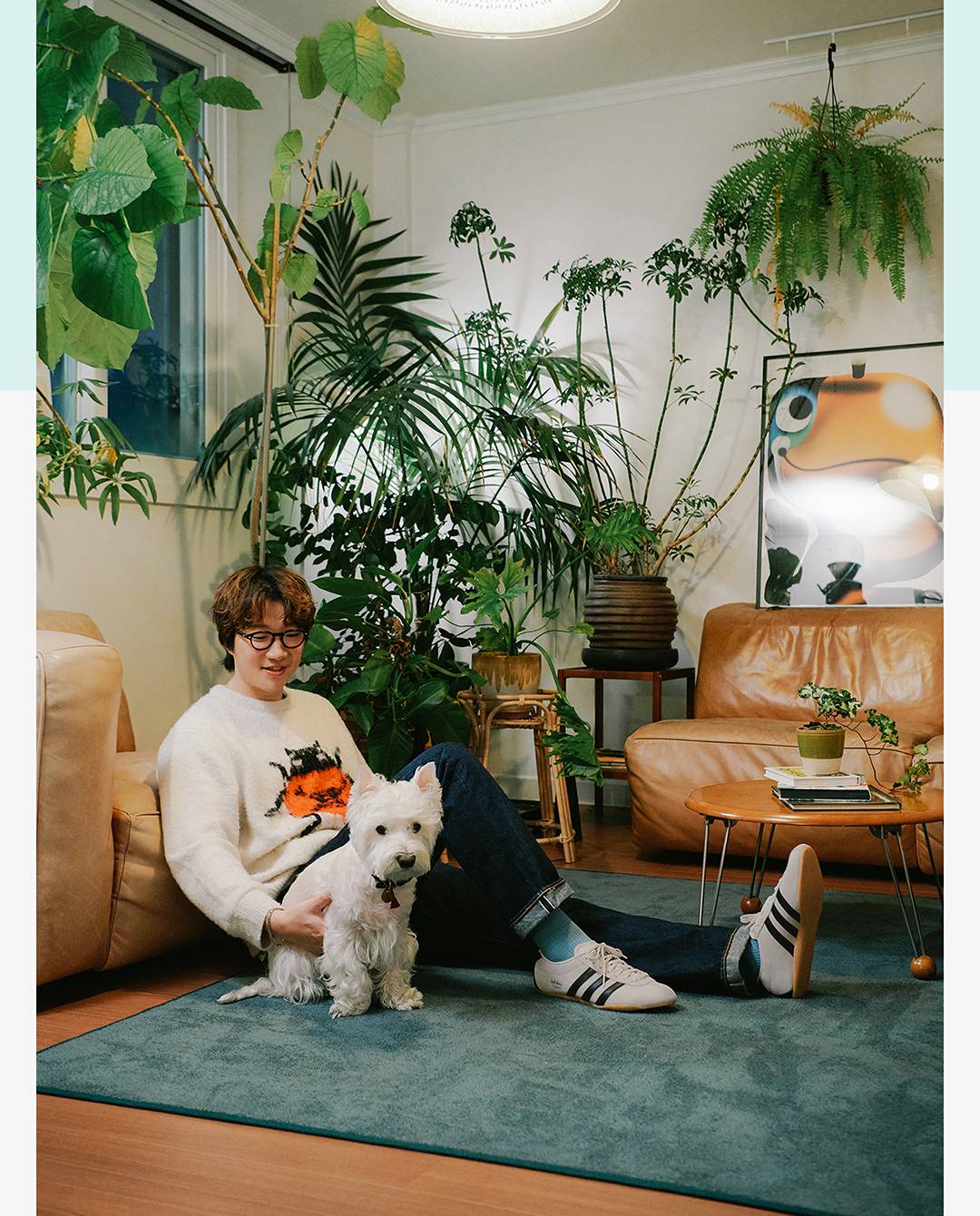 WHEREVER, WHENEVER ADIDAS