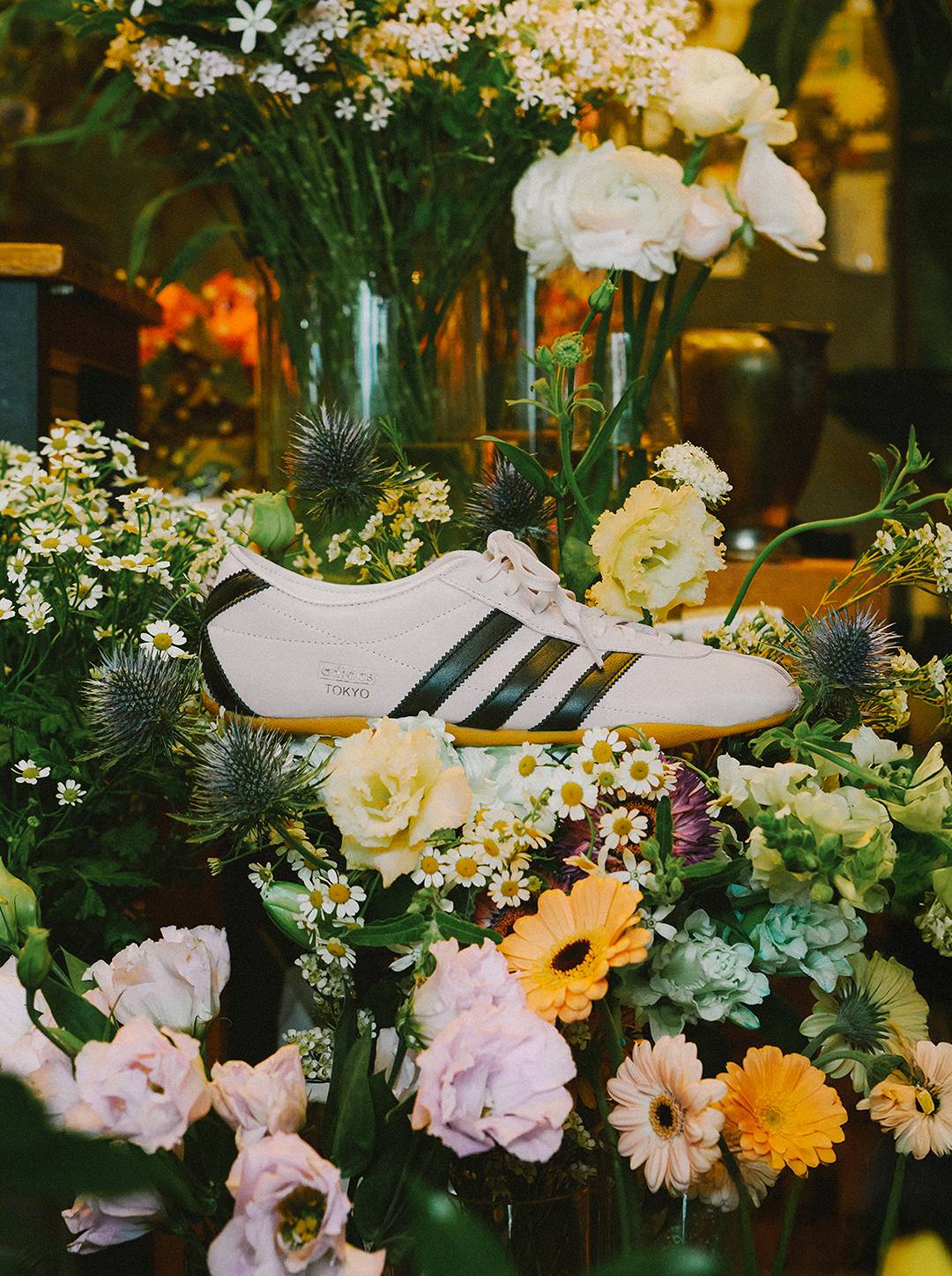 WHEREVER, WHENEVER ADIDAS