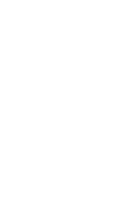 나의 음악, 그리고 젊음.