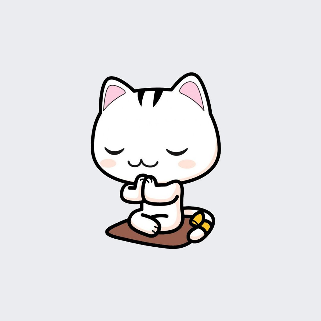고양이.jpg