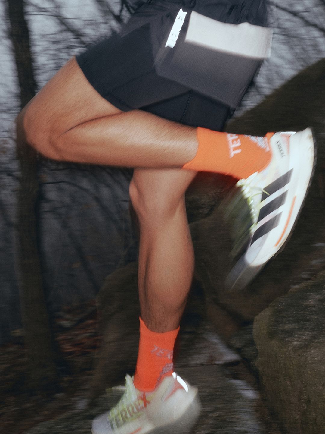 11_3.jpg