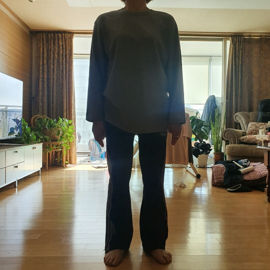 Tシャツ・カットソー *MUSINSA STANDARD* Basic Long Sleeve T-Shirt Dusty Beige MIT MUSINSA | MUSINSA STANDARD Basic Long Sleeve T-Shirt [Dusty