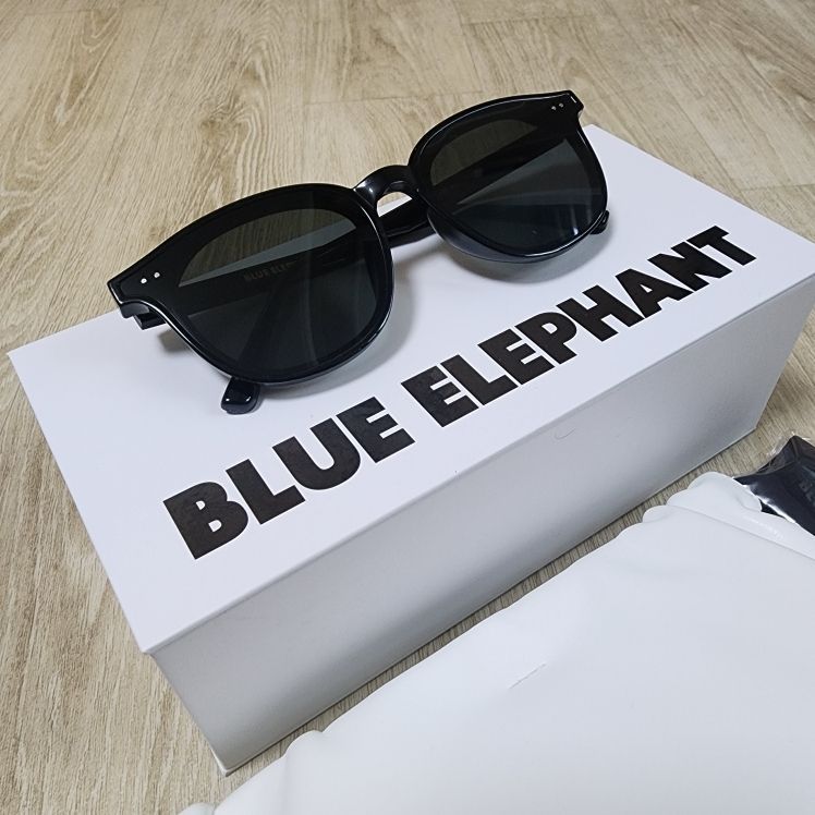 BLUE ELEPHANT MARLON blackブルーエレファントサングラス BLUE ELEPHANT MARLON blackブルーエレファントサングラス
