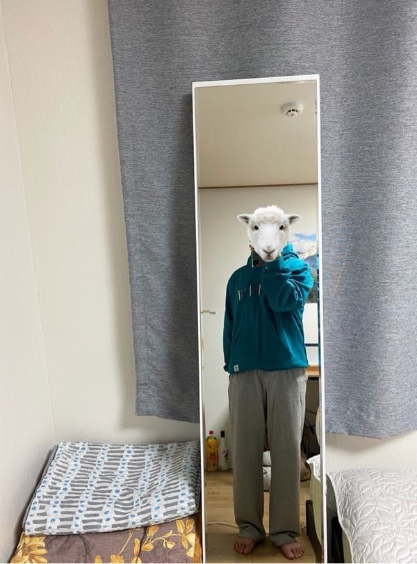 MUSINSA | MMLG [Mmlg] EMEMELGE EMB. HOOD (TEAL BLUE)