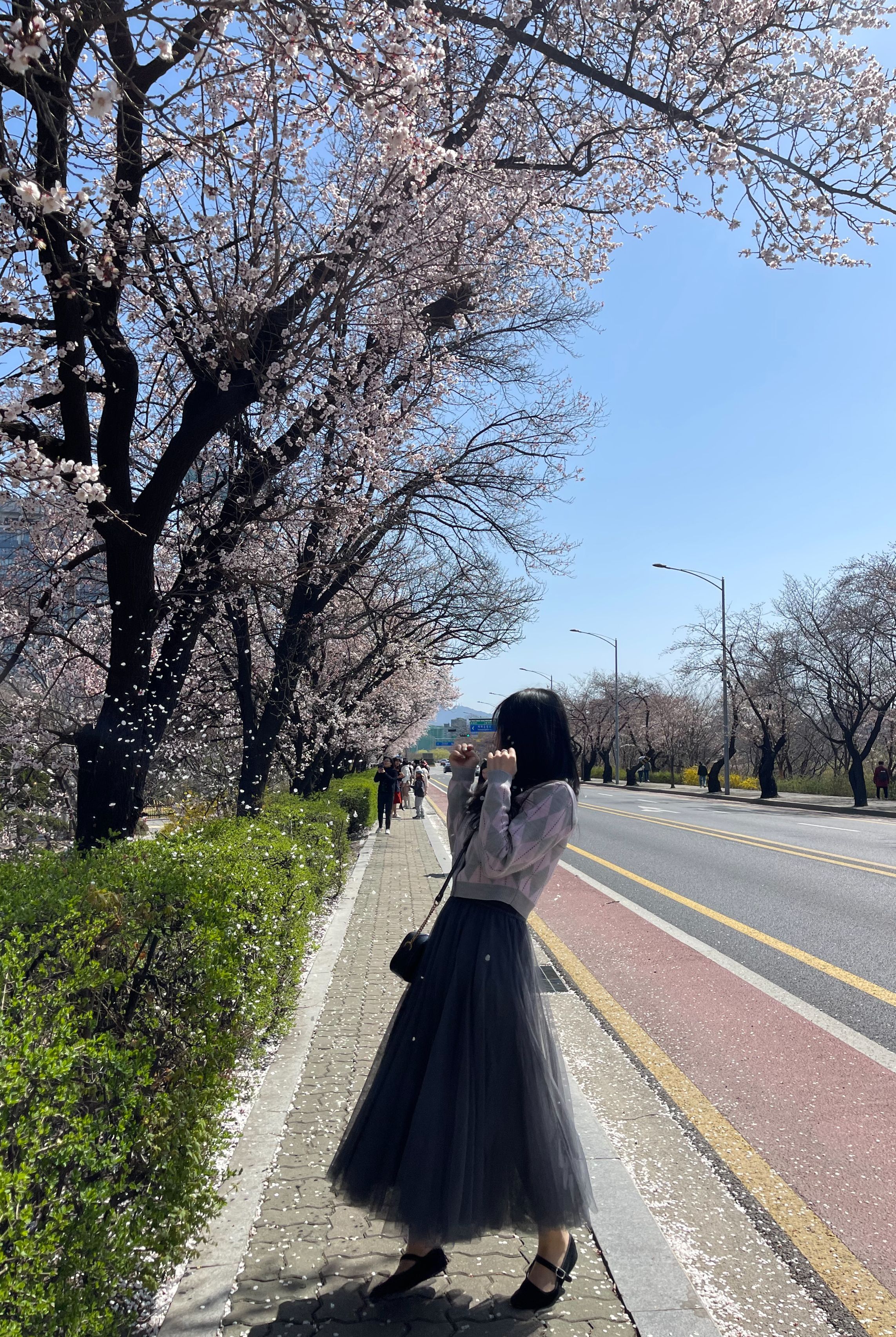 【THE MOZZ】Brush wrap style flare long skirt Malvo Long Pencil Skirt - Black – The Frankie Shop