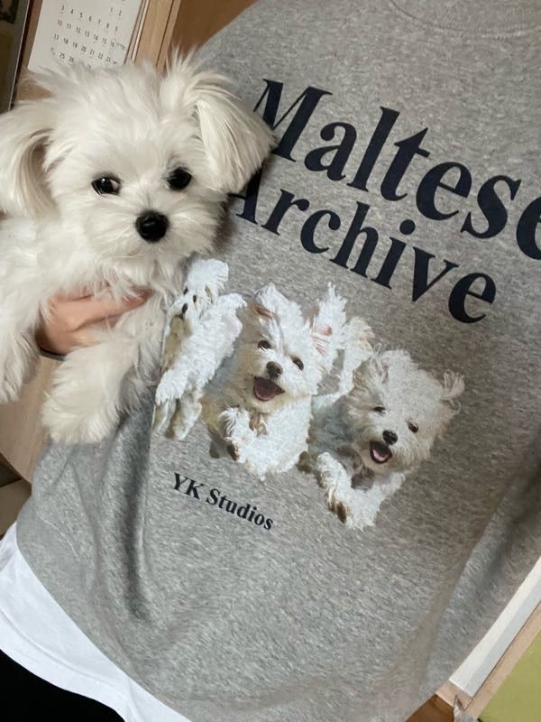 MUSINSA | WAI KEI MALTESE ARCHIVE SWEATSHIRT BLACK