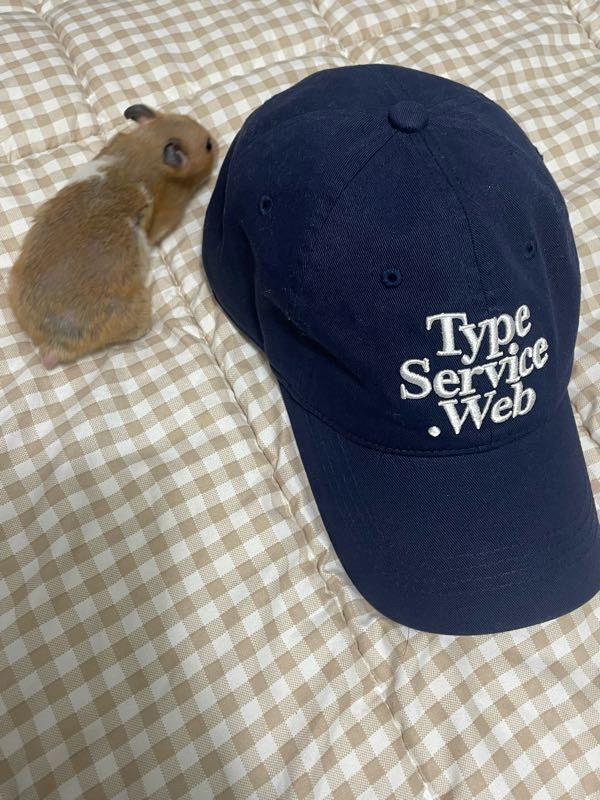 MUSINSA公式 | TYPESERVICE Typeservice Web Cap [Navy]