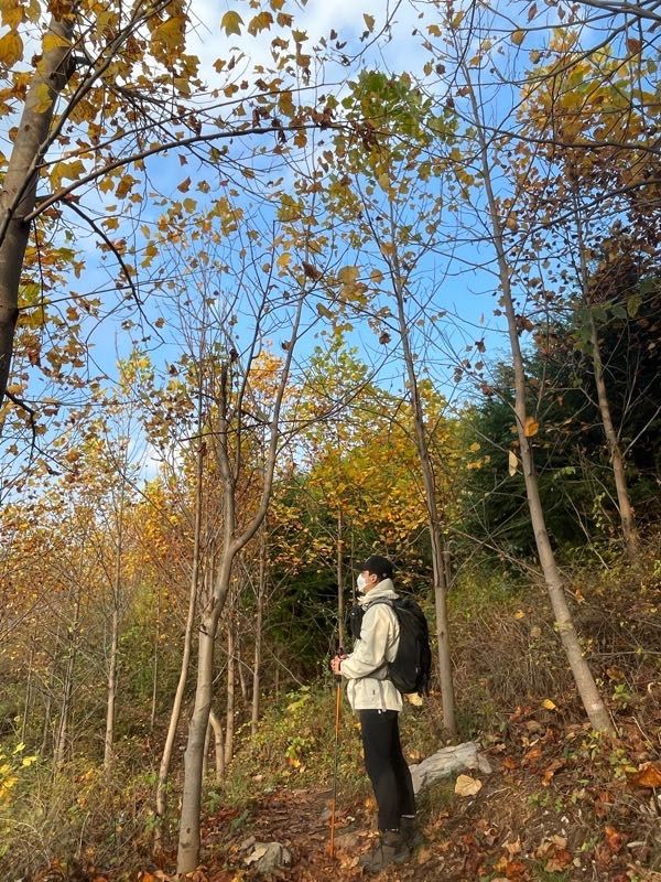 MUSINSA公式 | thisisneverthat® GORE-TEX 3L Shell Jacket Stone