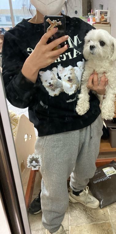 MUSINSA | WAI KEI Maltese Archive Sweatshirt Light Yellow