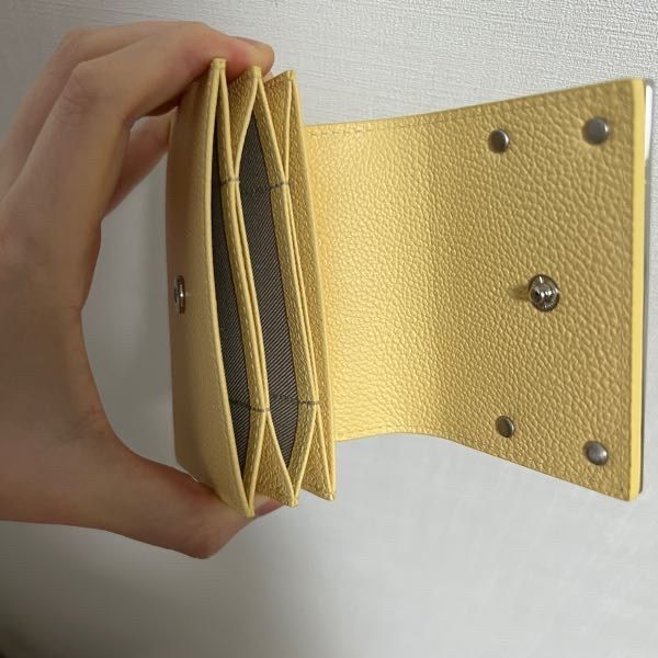 MUSINSA | MATIN KIM ACCORDION WALLET IN LIGHT YELLOW