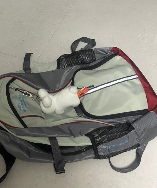 あのちゃん着用　NOCONTENT No content backpack MUSINSA公式 | NOCONTENT No content backpack _ Gray