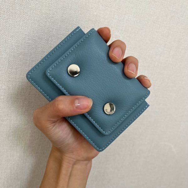 財布・小物その他 FENNEC CRINKLE PUSH ACCORDION POCKET SAGE MINT MUSINSA | fennec CRINKLE PUSH ACCORDION POCKET PLUS - SAGE MINT