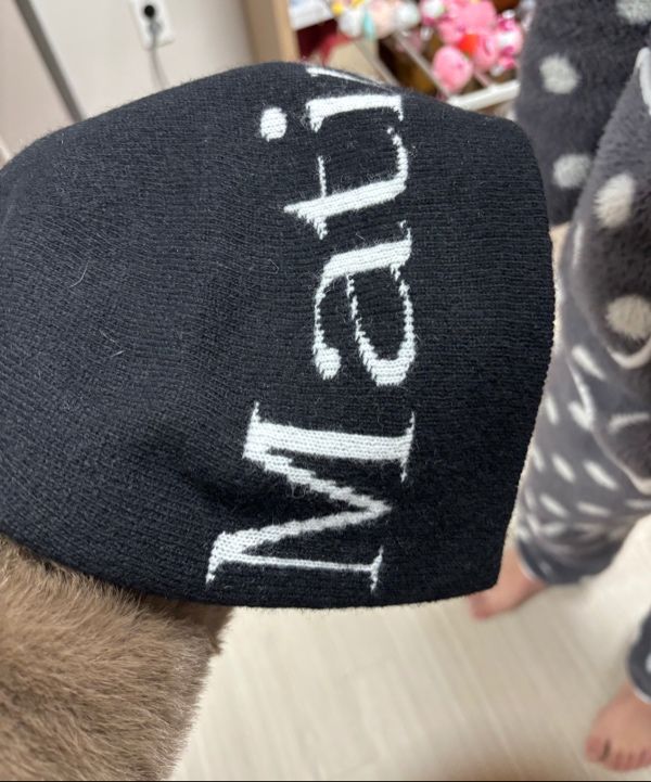 MUSINSA | MATIN KIM LOGO JACQUARD SHORT BEANIE IN BLACK