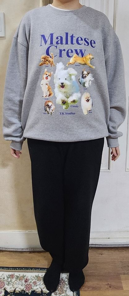 MUSINSA | WAI KEI Maltese Crew Sweatshirt Gray