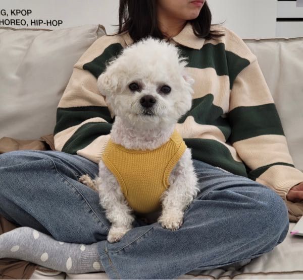 ★韓国の人気★【AVANDRESS】★Rugby Striped Kni.t★関税込★ AVANDRESS☆韓国☆人気☆男女兼用☆UNISEX Rugby Striped Knit