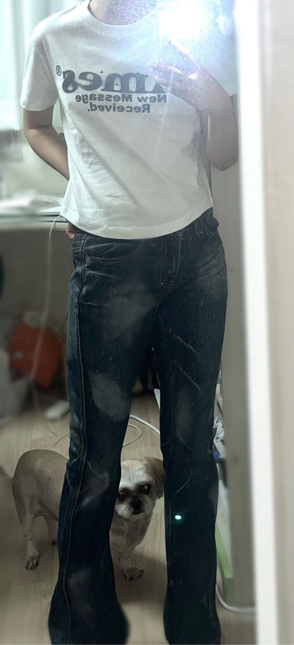 MUSINSA | SCULPTOR Metal Brushed Bootcut Denim Pants Khaki/Gold