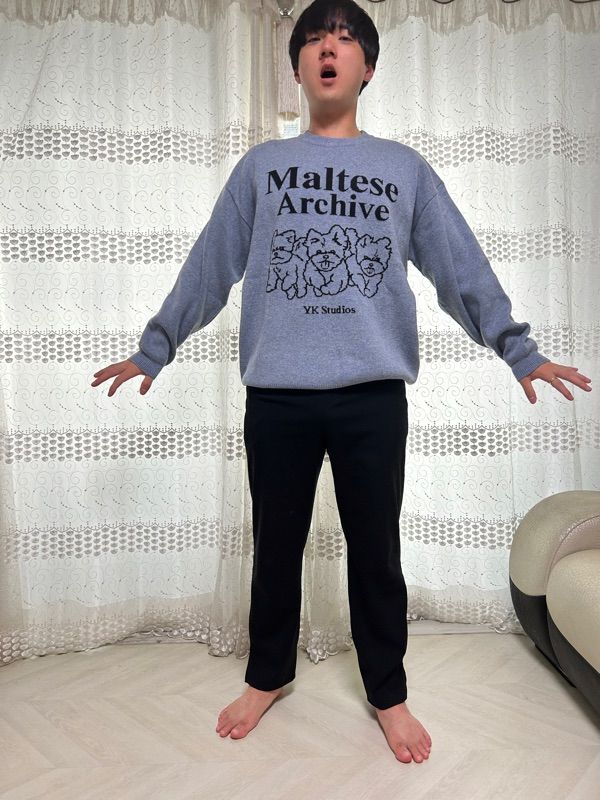 ニット・セーター Wai Kei Maltese archive line graphics knit 4BTR160 MALTESE ARCHIVE LINE GRAPHICS KNIT – ALAND USA