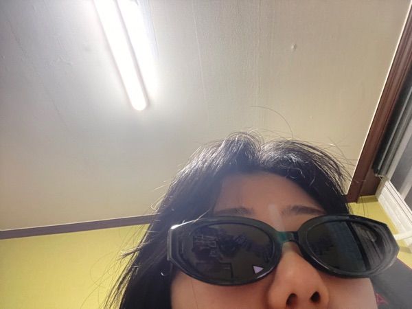 [RECLOW] 韓国 人気 プチプラ サングラス RC TR BB102 MUSINSA | RECLOW RC TR BB102 BLACK SUNGLASSES