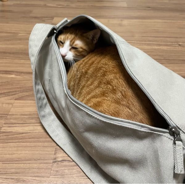 【SCULPTOR】Vintage Canvas Duffel Bag Black Vintage Canvas Duffel Bag Black – Sculptor