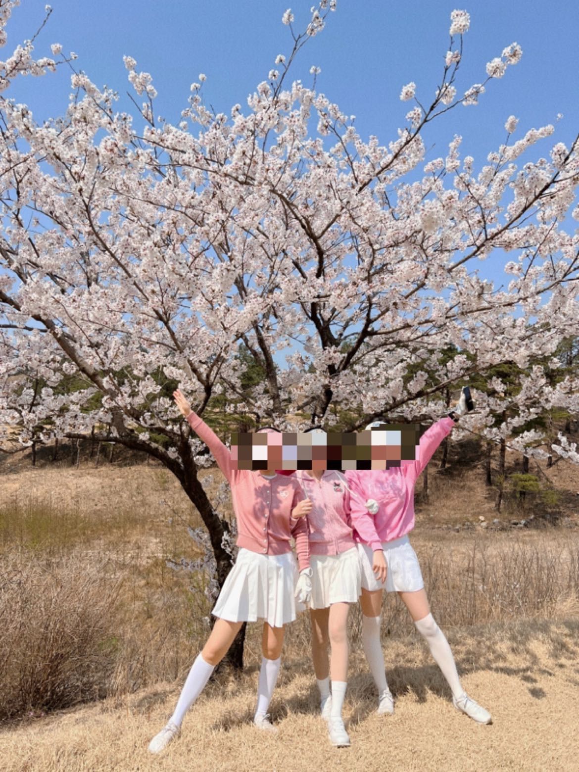 MUSINSA | CLOVE [23SS clove] Finalist Logo Sweatshirt (Pink)