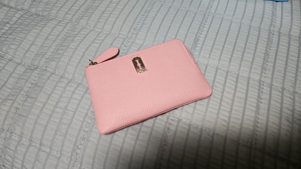 23SS★vunque★Perfec Key Holder Pouch★キーホルダーポーチ5色 POUCH – vunque