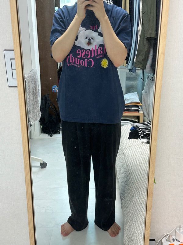 ★WAIKEI★ Maltese Cloudy Short Sleeve T-Shirt Navy YK23HSTS MUSINSA | WAI KEI Maltese Cloudy Short Sleeve T-shirt Navy