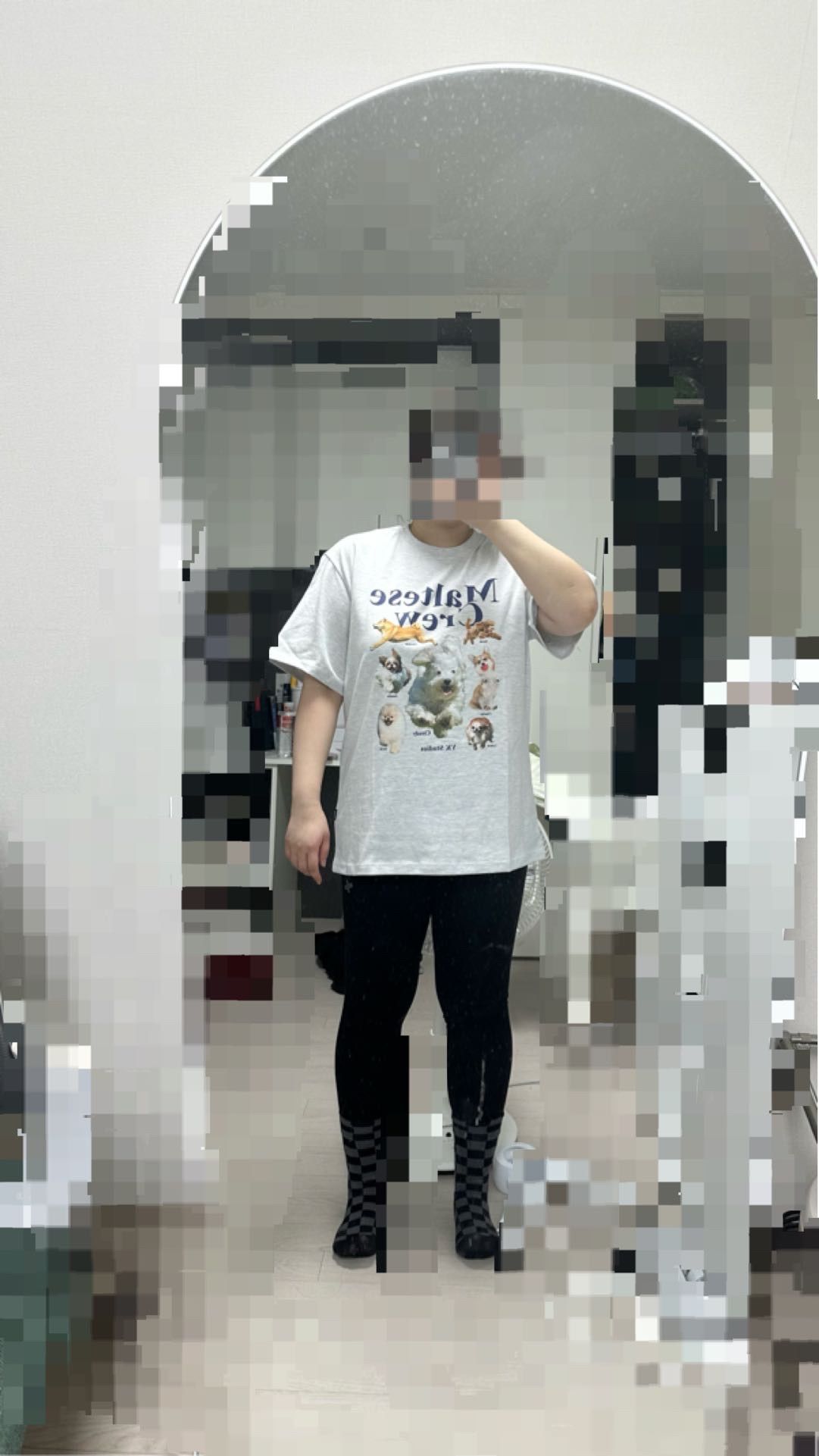 MUSINSA | WAI KEI Maltese Crew Short Sleeve T-shirt Melange