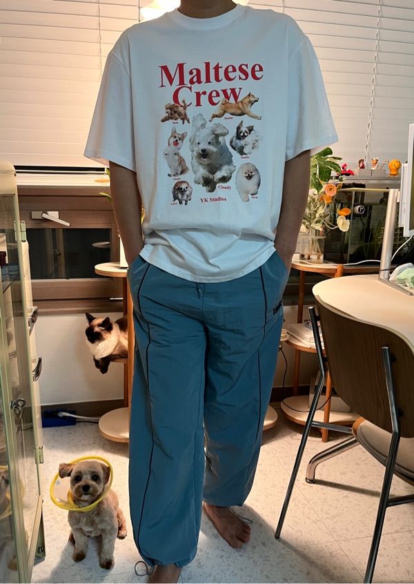 MUSINSA | WAI KEI Maltese Crew Short Sleeve T-shirt Melange