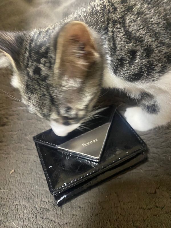 MUSINSA公式 | fennec CRINKLE TRIANGLE TRIPLE WALLET - BLACK