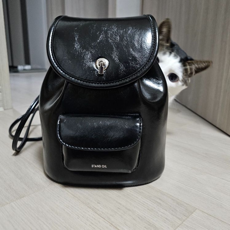 MUSINSA | STAND OIL Ditto Backpack · Ditto backpack