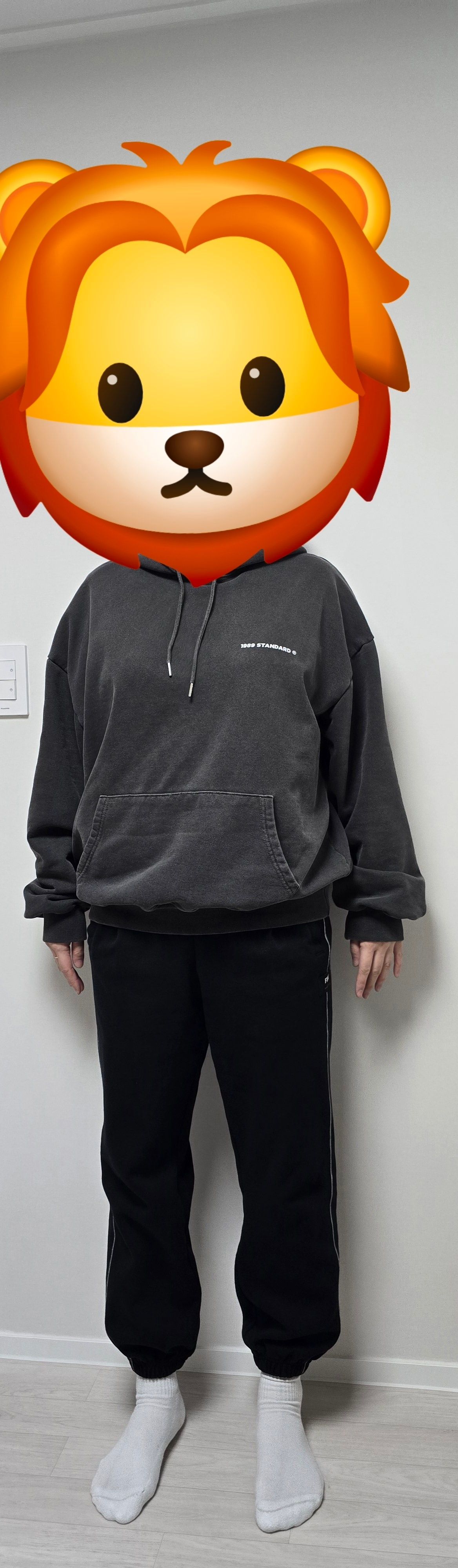 【1989STANDARD】 MAIN LOGO Hood (STHSTD-0017)★4色 1989 STANDARD(1989スタンダード) 人気アイテムランキング【BUYMA】